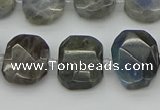 CNG5722 15.5 inches 12*16mm - 15*20mm faceted freeform labradorite beads