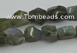 CNG5753 15.5 inches 10*12mm - 12*16mm faceted nuggets labradorite beads