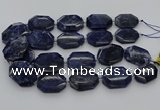 CNG5765 15.5 inches 20*30mm - 35*45mm faceted freeform sodalite beads