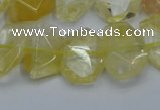 CNG5772 15.5 inches 12*16mm - 15*20mm faceted freeform citrine beads