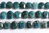 CNG5789 15.5 inches 13*18mm - 15*20mm faceted freeform apatite beads