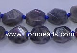 CNG5790 10*12mm - 10*14mm faceted freeform labradorite beads