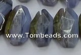 CNG5802 15*20mm - 22*28mm faceted freeform blue lace agate beads