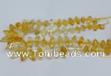 CNG5825 15.5 inches 8*18mm - 13*30mm freeform citrine beads