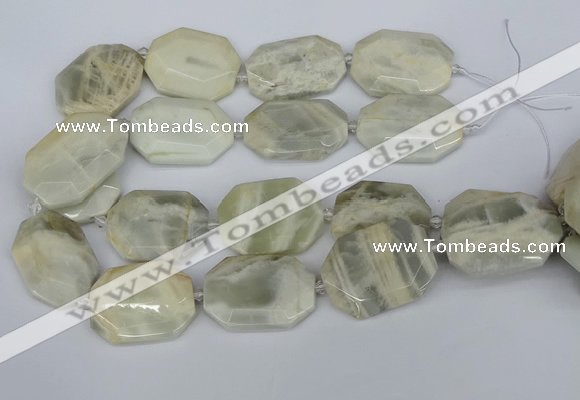 CNG5834 15.5 inches 20*30mm - 35*45mm faceted freeform moonstone beads