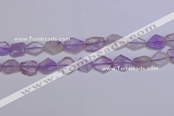 CNG6326 15.5 inches 14*18mm - 16*22mm freeform amethyst beads