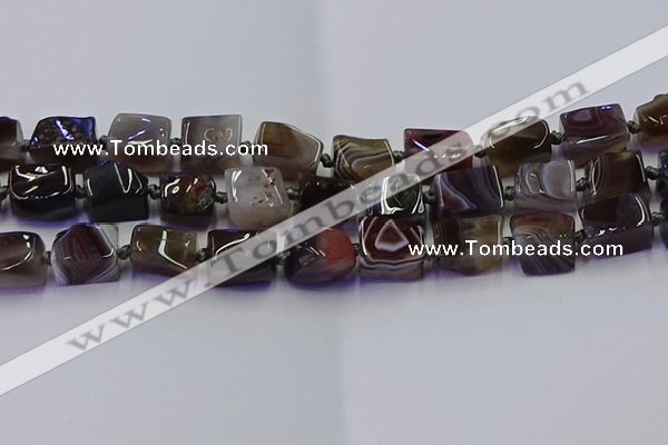 CNG6816 15.5 inches 8*12mm - 10*16mm nuggets botswana agate beads