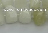 CNG6925 12*16mm - 15*20mm faceted nuggets white moonstone beads