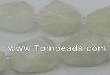CNG6926 12*16mm - 15*25mm faceted nuggets white moonstone beads