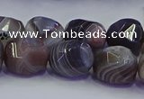 CNG6939 12*16mm - 13*18mm faceted nuggets Botswana agate beads