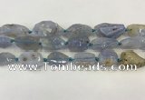 CNG6950 15.5 inches 18*20mm - 22*30mm freeform blue chalcedony beads