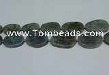 CNG7052 15.5 inches 25*35mm - 30*45mm freeform labradorite beads