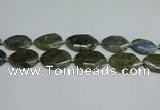 CNG7098 25*35mm - 35*45mm faceted freeform labradorite beads