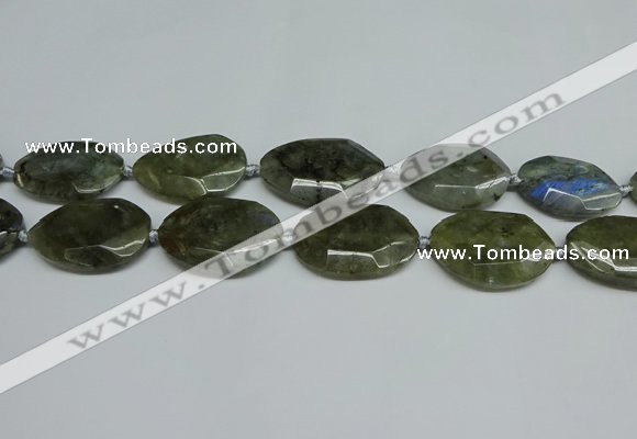 CNG7098 25*35mm - 35*45mm faceted freeform labradorite beads