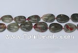 CNG7115 15.5 inches 20*25mm - 30*40mm freeform blood jasper beads