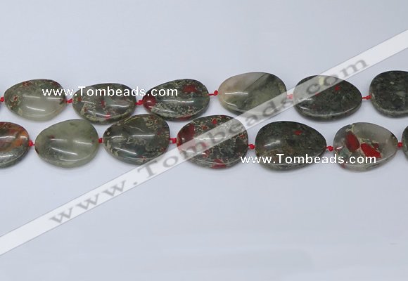 CNG7115 15.5 inches 20*25mm - 30*40mm freeform blood jasper beads