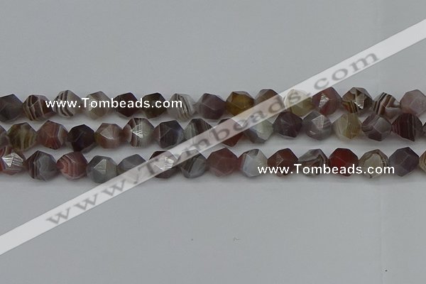 CNG7347 15.5 inches 10mm faceted nuggets botswana agate beads