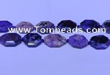 CNG7516 15.5 inches 25*35mm - 30*40mm faceted freeform charoite beads