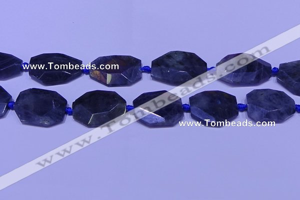 CNG7517 15.5 inches 25*35mm - 30*40mm faceted freeform labradorite beads