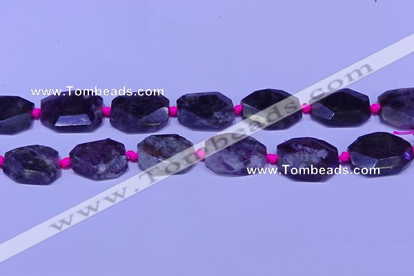 CNG7525 15.5 inches 18*25mm - 25*35mm faceted freeform tourmaline beads