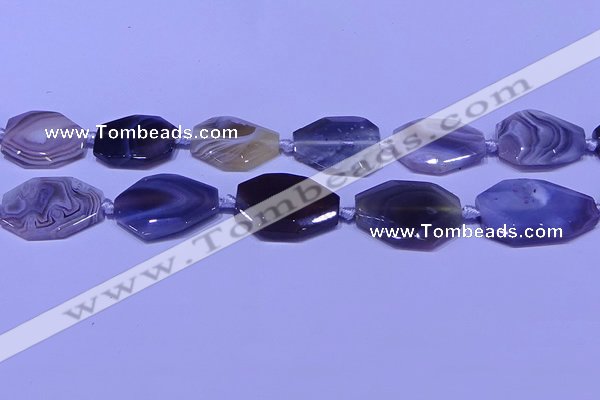 CNG7527 18*25mm - 25*35mm faceted freeform Botswana agate beads