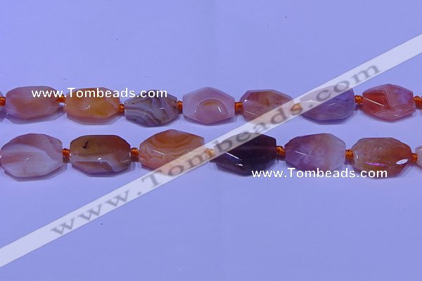 CNG7528 18*25mm - 25*35mm faceted freeform red Botswana agate beads