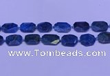 CNG7533 15.5 inches 18*25mm - 25*35mm faceted freeform apatite beads