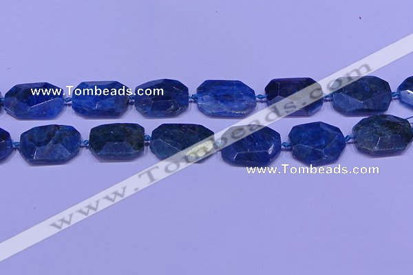 CNG7533 15.5 inches 18*25mm - 25*35mm faceted freeform apatite beads