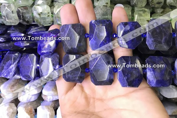 CNG7562 15.5 inches 18*25mm - 20*28mm faceted freeform sodalite beads