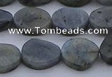 CNG7578 15.5 inches 10*14mm - 13*18mm freeform labradorite beads