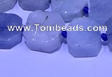 CNG7603 15.5 inches 12*14mm - 15*16mm freeform aquamarine beads