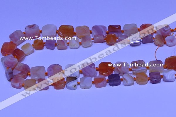 CNG7605 15.5 inches 12*13mm - 17*18mm freeform red botswana agate beads