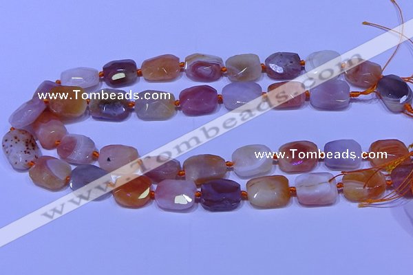 CNG7621 12*16mm - 13*18mm faceted freeform red botswana agate beads