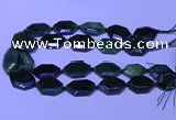 CNG7627 20*30mm - 22*32mm faceted freeform Canadian Jade beads