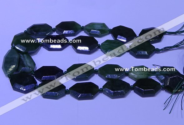 CNG7627 20*30mm - 22*32mm faceted freeform Canadian Jade beads