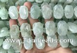 CNG7753 13*18mm - 15*25mm faceted freeform light prehnite beads