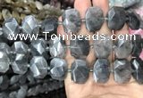 CNG7755 13*18mm - 15*25mm faceted freeform cloudy quartz beads