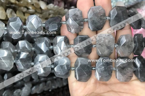 CNG7755 13*18mm - 15*25mm faceted freeform cloudy quartz beads