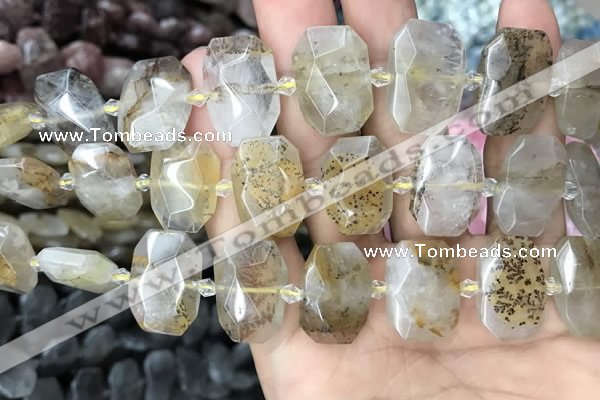 CNG7760 13*18mm - 15*25mm faceted freeform scenic quartz beads