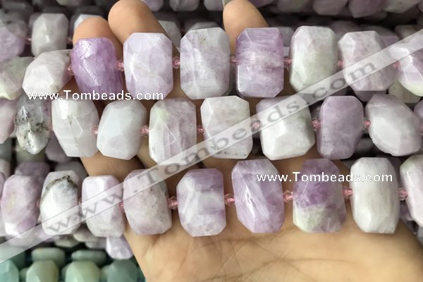 CNG7763 13*18mm - 15*25mm faceted freeform kunzite beads