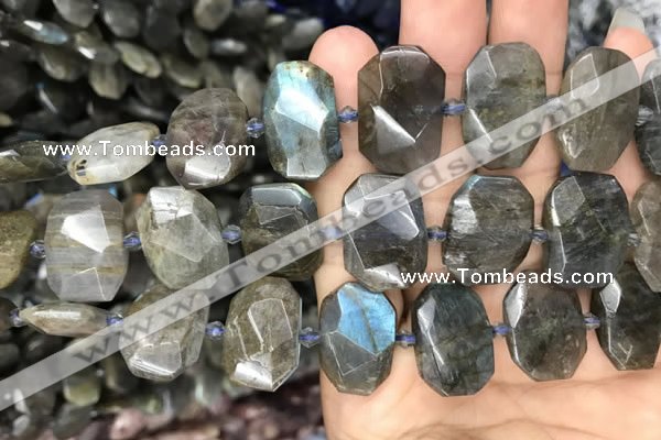 CNG7774 13*18mm - 15*25mm faceted freeform labradorite beads