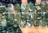 CNG7783 15.5 inches 13*18mm - 15*25mm faceted freeform moss agate beads