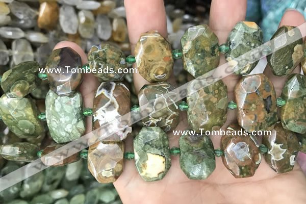 CNG7784 15.5 inches 13*18mm - 15*25mm faceted freeform rhyolite beads