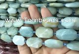 CNG7813 15.5 inches 13*18mm - 18*25mm faceted freeform amazonite beads