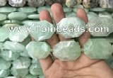 CNG7831 20*28mm - 25*35mm faceted freeform light prehnite beads