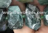 CNG7856 15.5 inches 12*16mm - 15*20mm faceted nuggets moss agate beads