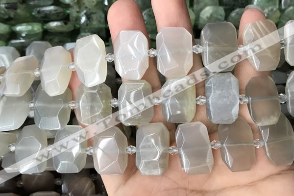 CNG7881 13*18mm - 15*25mm faceted freeform moonstone beads