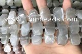 CNG7882 13*18mm - 15*25mm faceted freeform moonstone beads