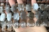 CNG7883 13*18mm - 15*25mm faceted freeform moonstone beads