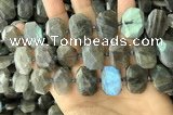 CNG7887 13*18mm - 15*25mm faceted freeform labradorite beads